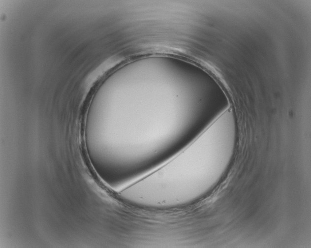 X0000062630987200512210934