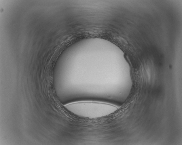 X0000062631009200512210932