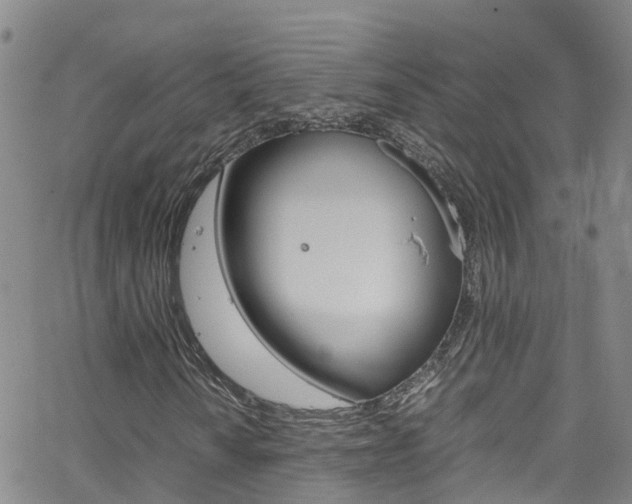X0000062631010200512210932