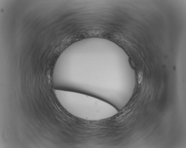 X0000062631011200512210932