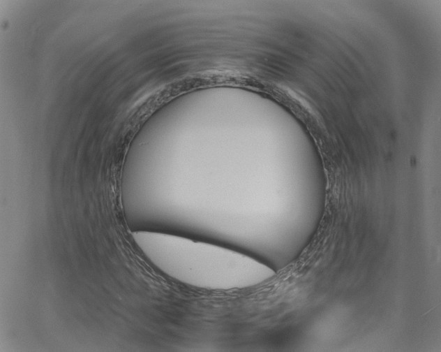 X0000062631015200512210932