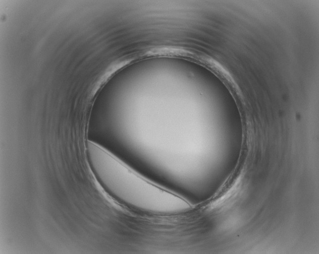 X0000062631041200512210933