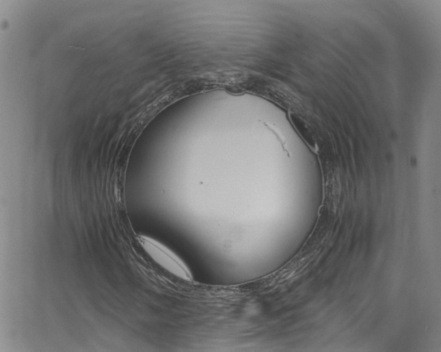 X0000062631058200512210932