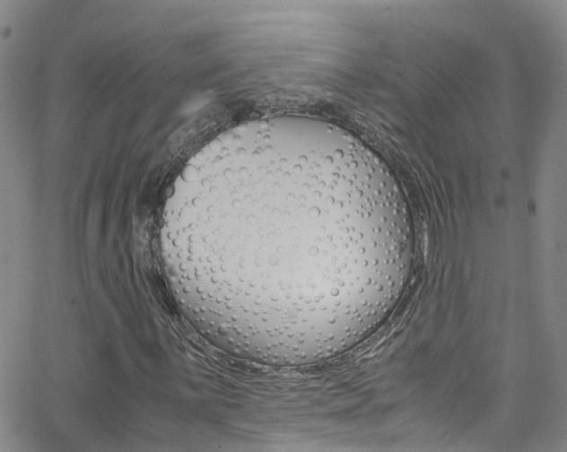 X0000062631059200512210932
