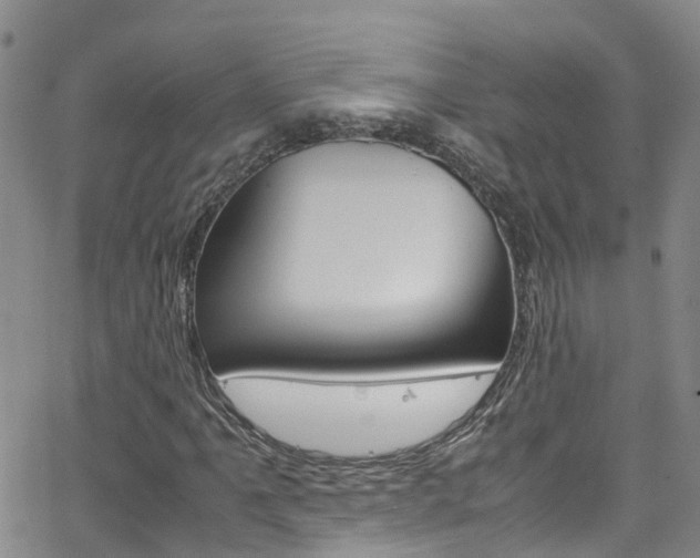 X0000062631061200512210932