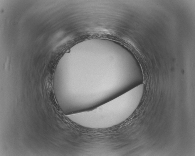 X0000062631063200512210932