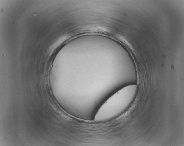 X0000062631071200512210932