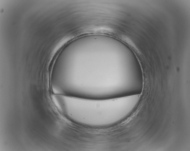 X0000062631079200512210932