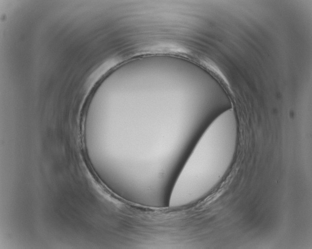 X0000062631087200512210932