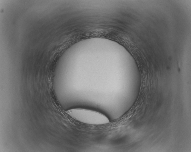 X0000062631109200512210931