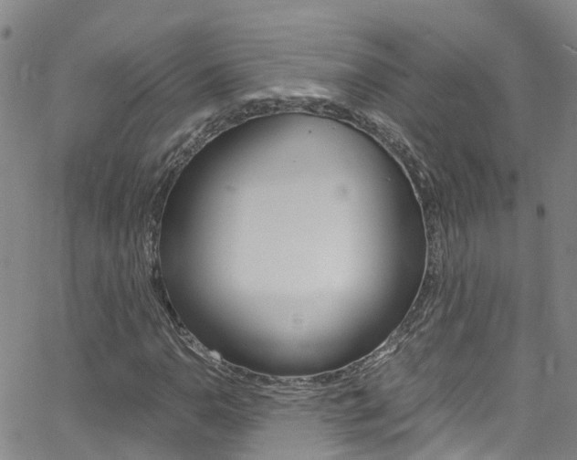 X0000062631110200512210931