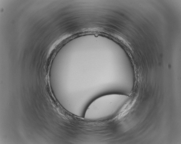 X0000062631117200512210931