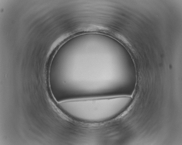 X0000062631122200512210931