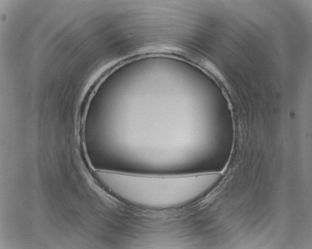 X0000062631124200512210931