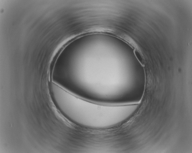 X0000062631132200512210931