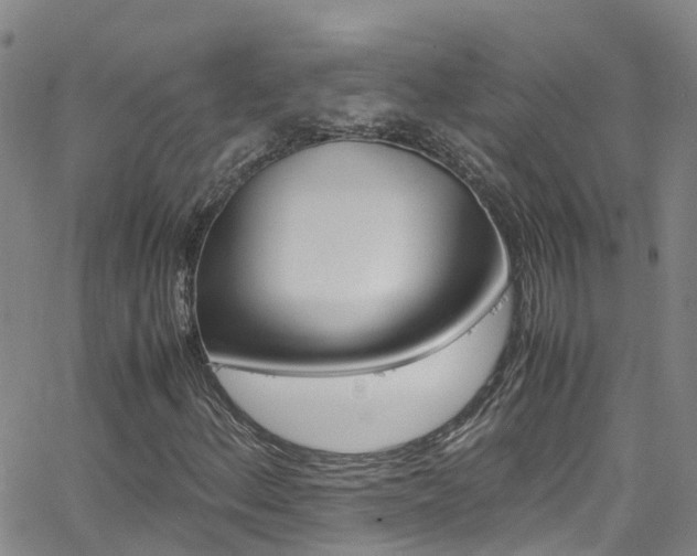 X0000062631156200512210931