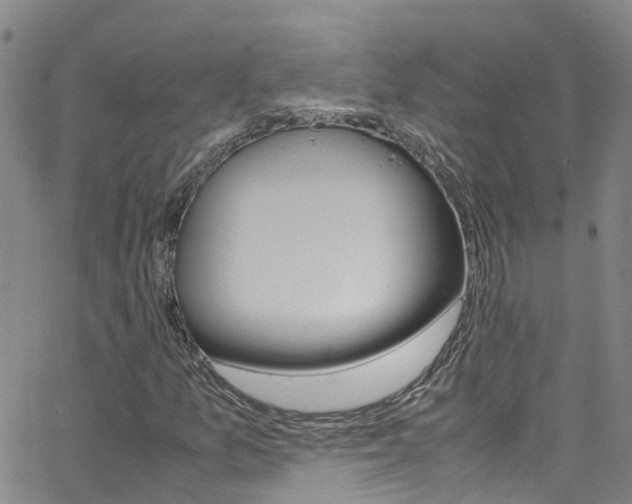 X0000062631157200512210931