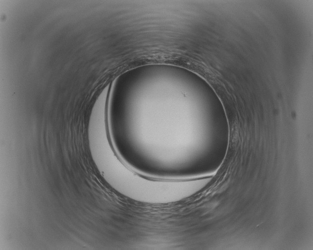 X0000062631202200512210929