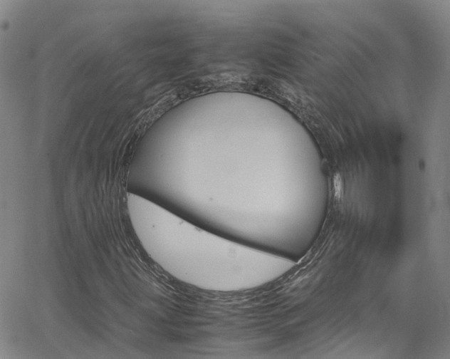 X0000062631203200512210929