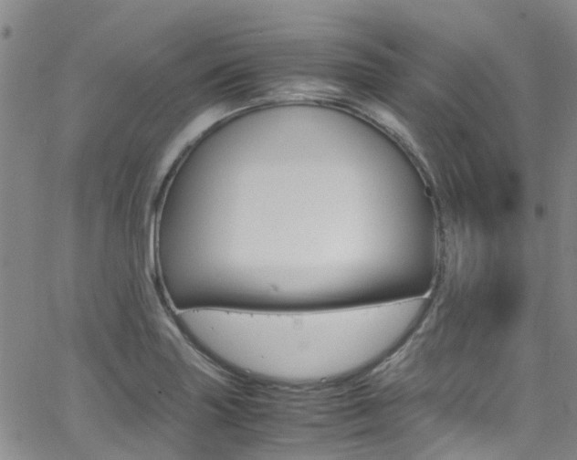 X0000062631227200512210929