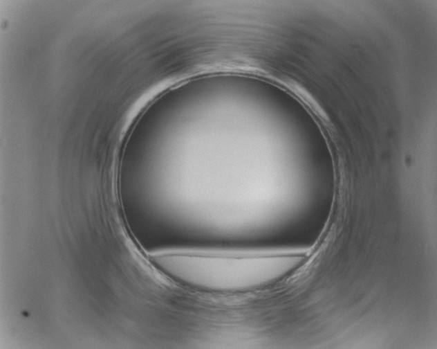 X0000062631246200512210930