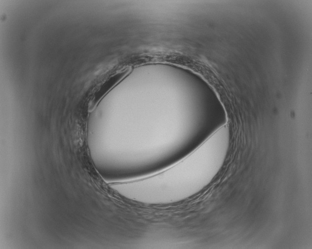 X0000062631253200512210929