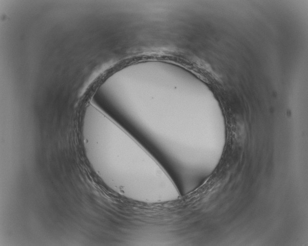 X0000062631256200512210929