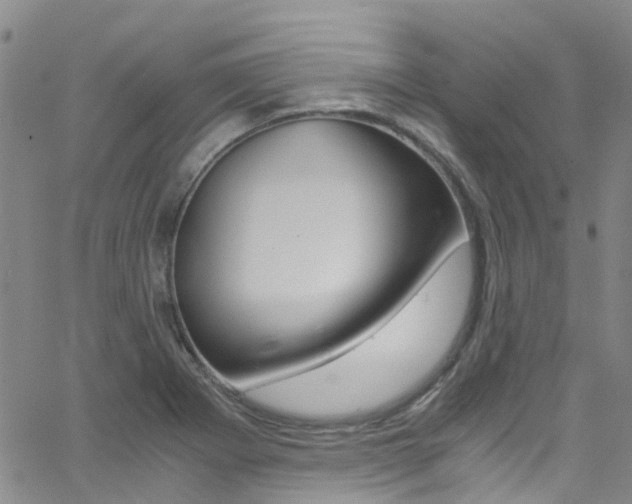 X0000062631273200512210929