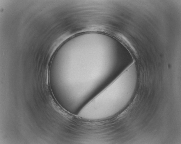X0000062631276200512210929