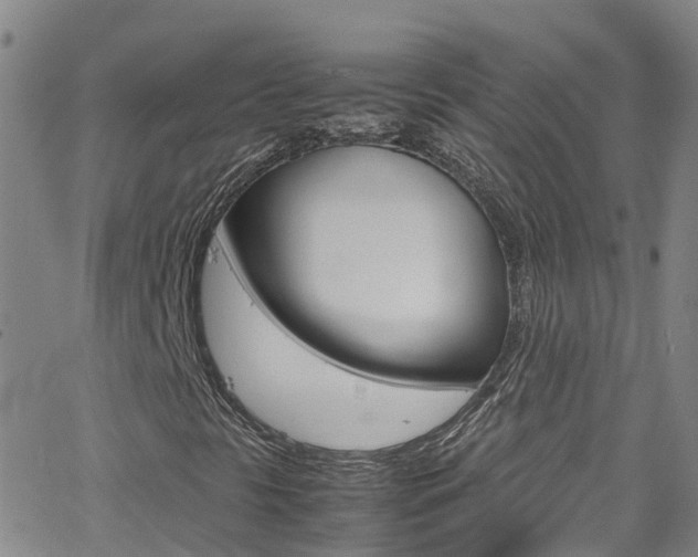 X0000062631297200512210927