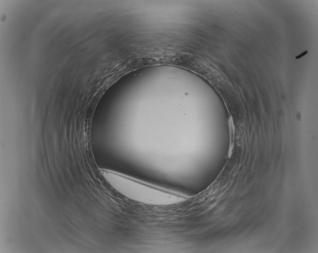 X0000062631298200512210927