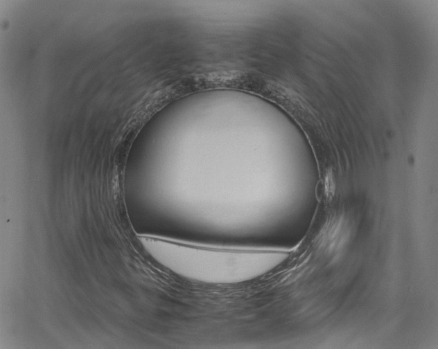 X0000062631299200512210927