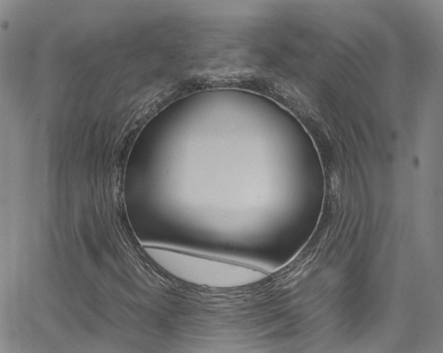 X0000062631300200512210927