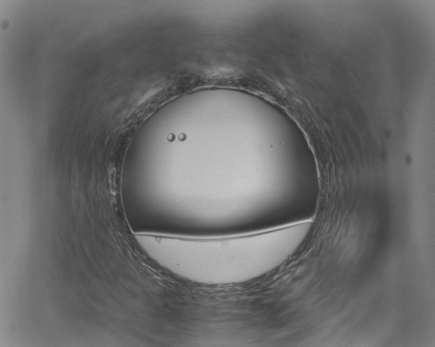 X0000062631301200512210927