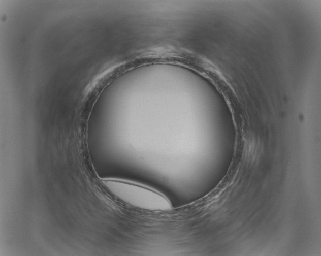 X0000062631304200512210928