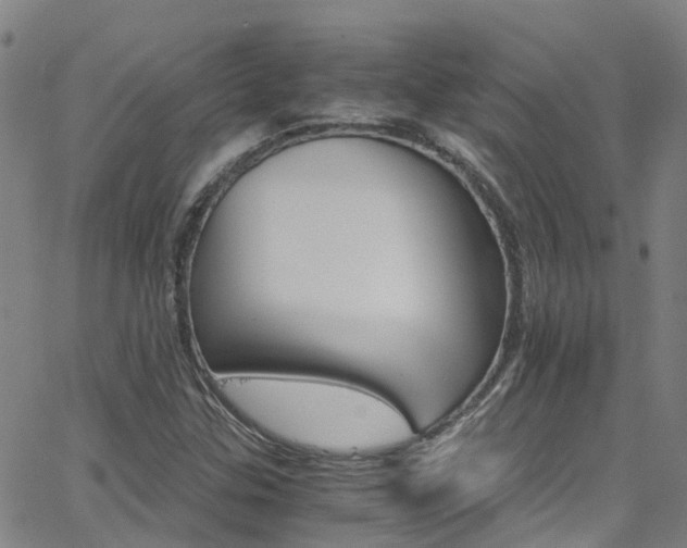 X0000062631307200512210928