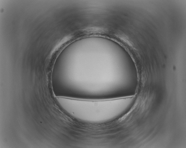 X0000062631309200512210928