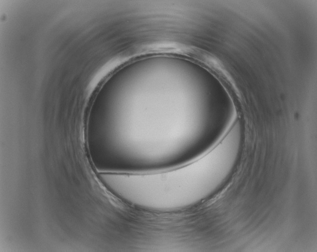 X0000062631328200512210928