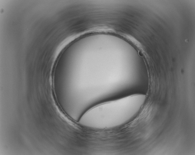 X0000062631335200512210928