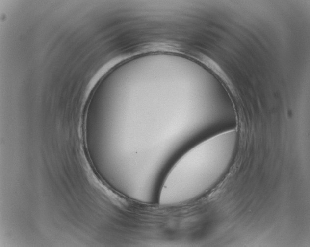 X0000062631339200512210928