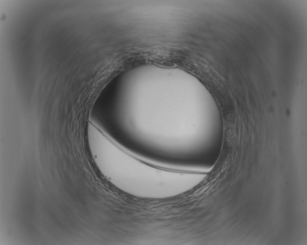 X0000062631345200512210927