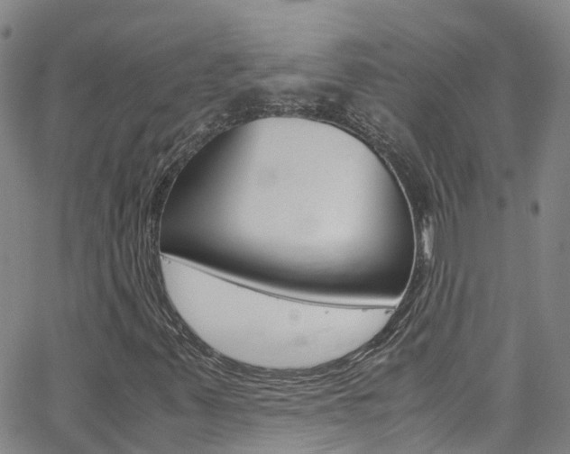 X0000062631347200512210927