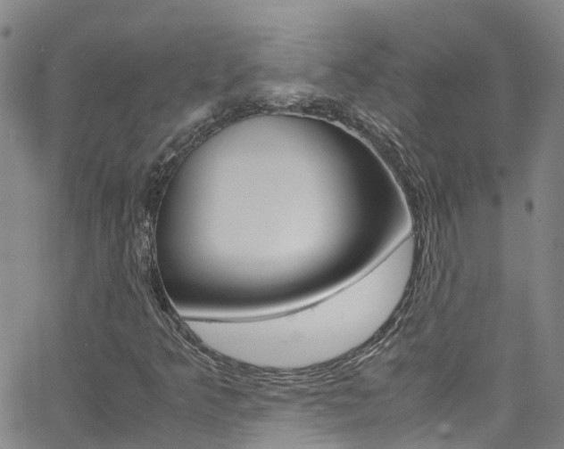 X0000062631349200512210927