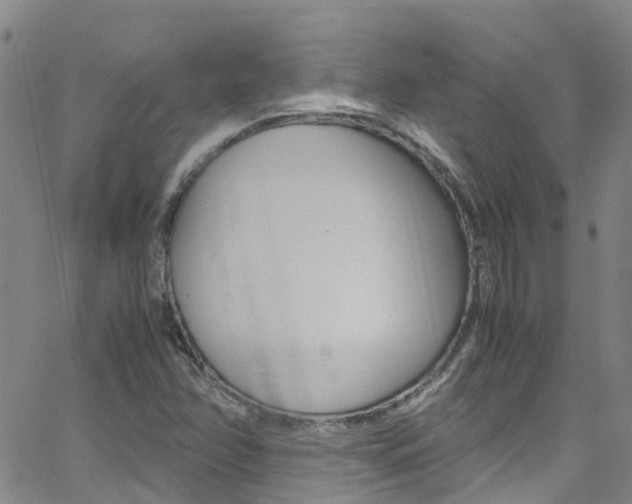 X0000062631358200512210927