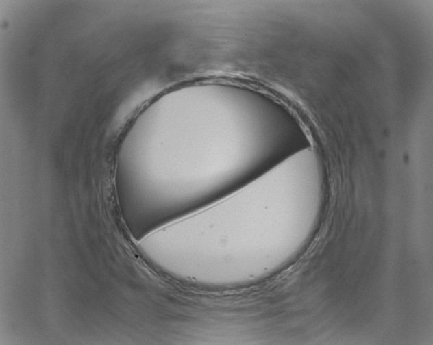 X0000062631359200512210927