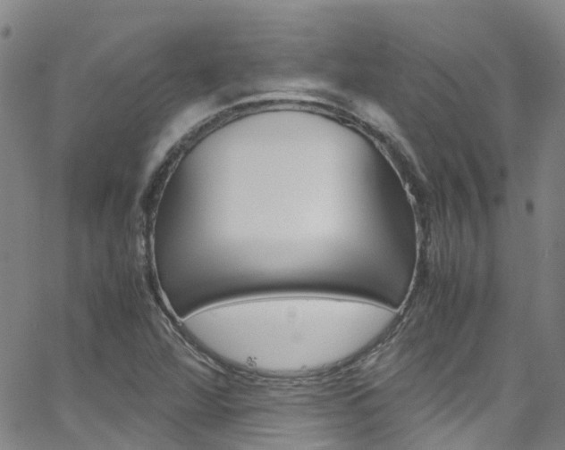 X0000062631360200512210927