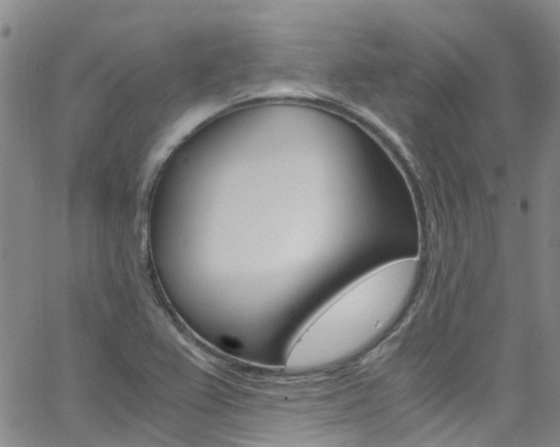 X0000062631367200512210927