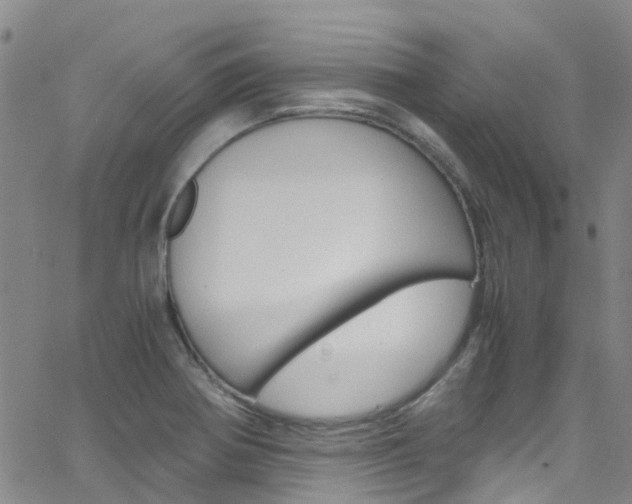 X0000062631370200512210927