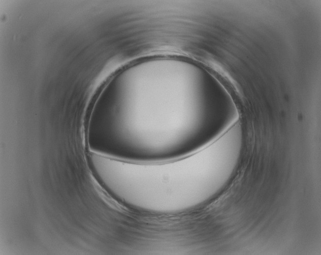 X0000062631372200512210927