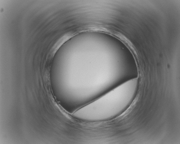 X0000062631385200512210927